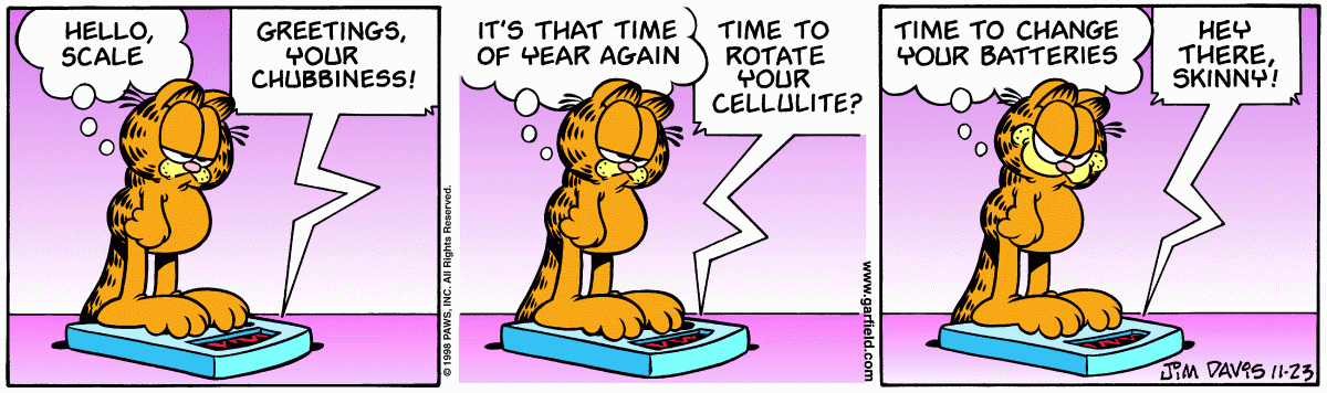 Garfield comic strip for Monday, November 23, 1998