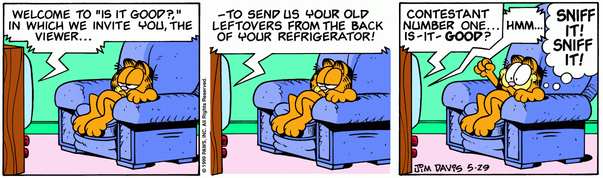 Garfield, May 29, 1999