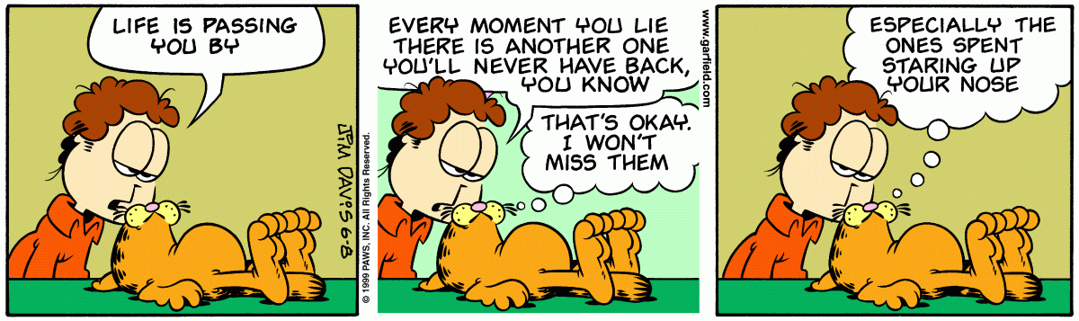 Garfield, June 8, 1999