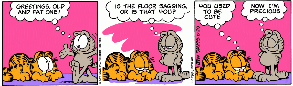 Garfield, June 29, 1999