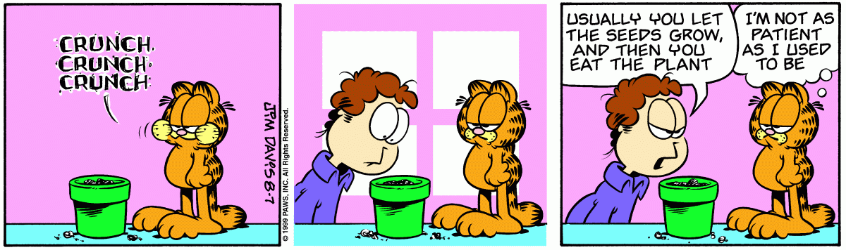 Garfield, August 7, 1999