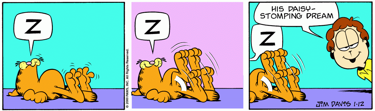 Garfield, January 12, 2000