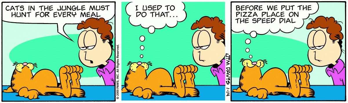 Garfield, January 14, 2000