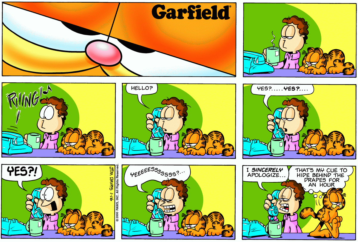 Garfield, January 16, 2000