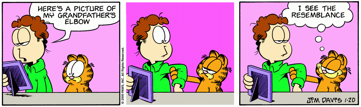 Garfield, January 20, 2000