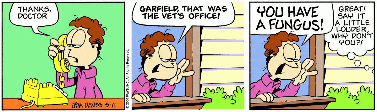 Garfield, May 11, 2000