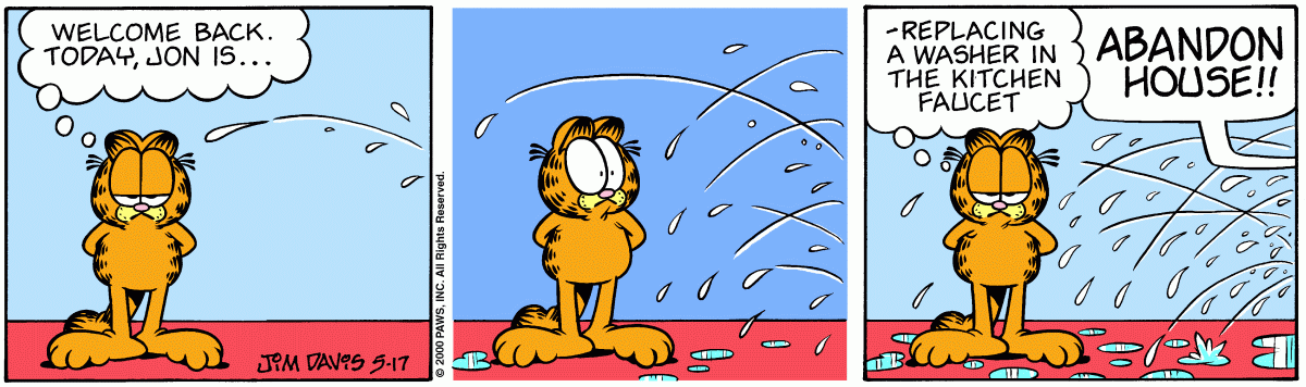 Garfield, May 17, 2000