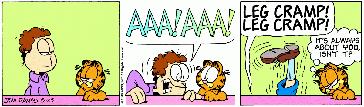 Garfield, May 25, 2000