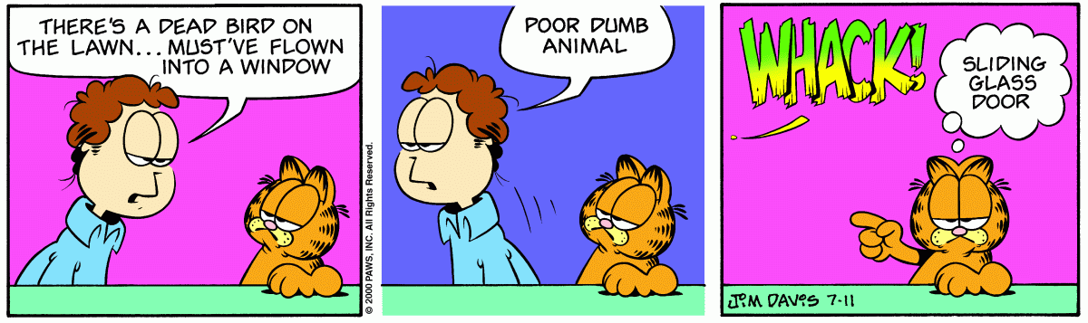 Garfield, July 11, 2000