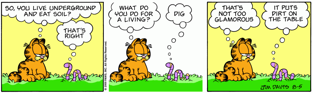 Garfield, August 5, 2000