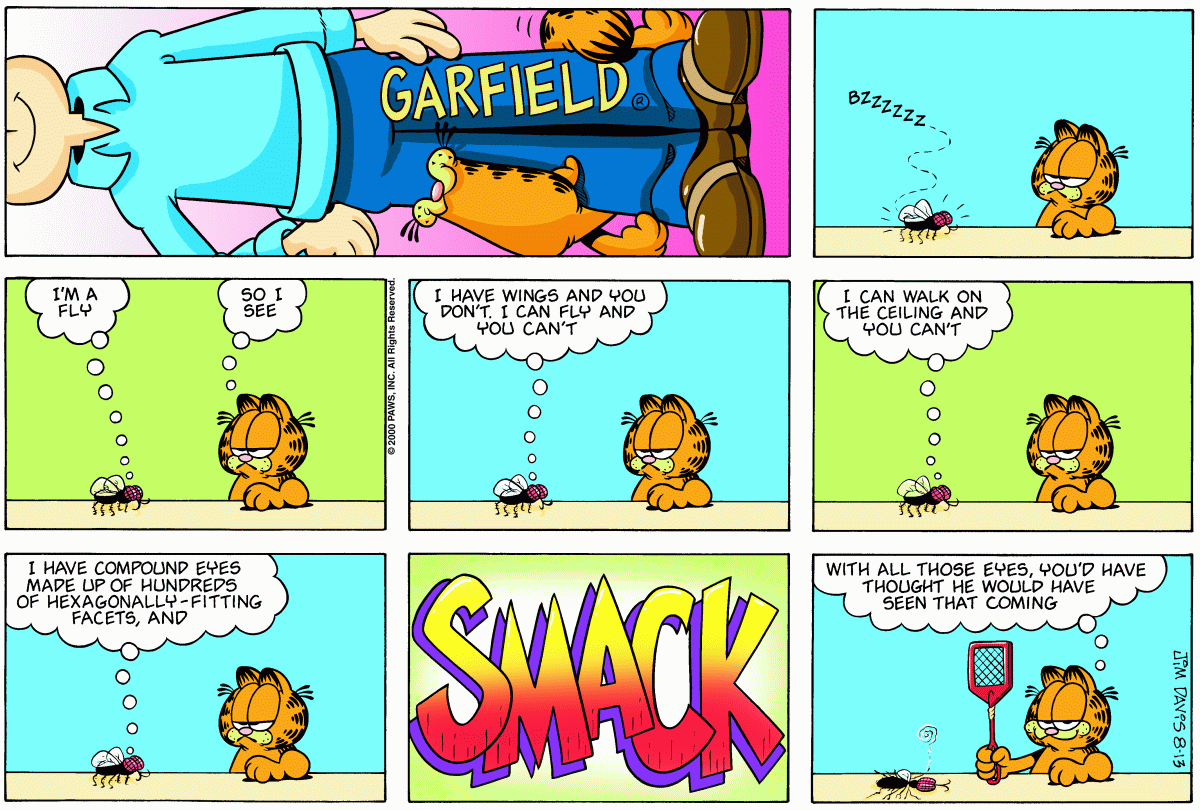 Garfield, August 13, 2000