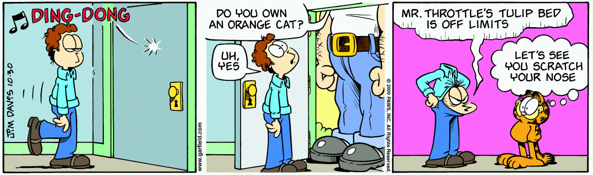 Garfield comic strip for Monday, October 30, 2000