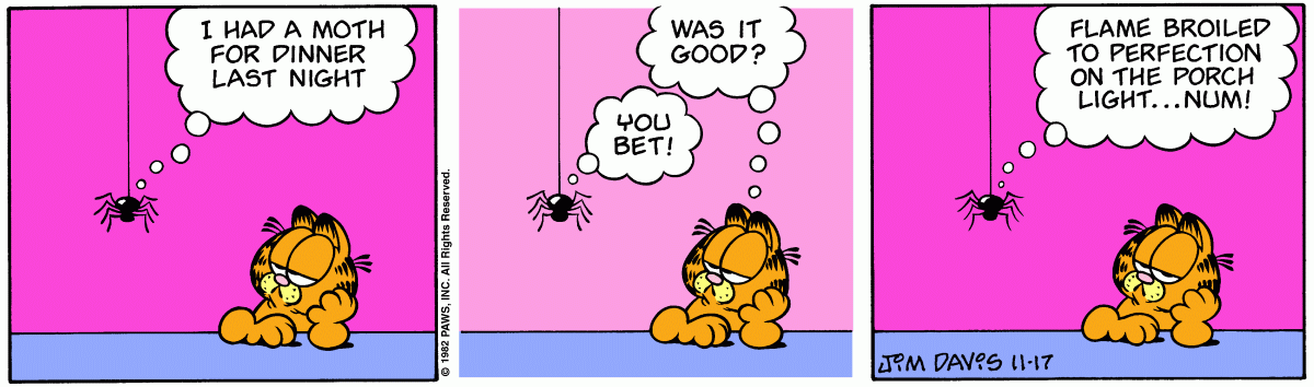 Garfield comic strip for Friday, November 17, 2000