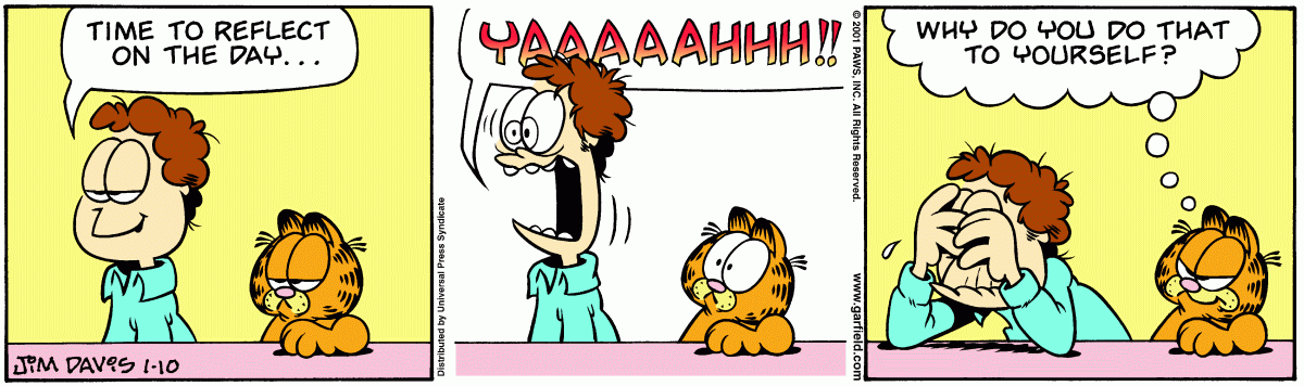 Garfield, January 10, 2001