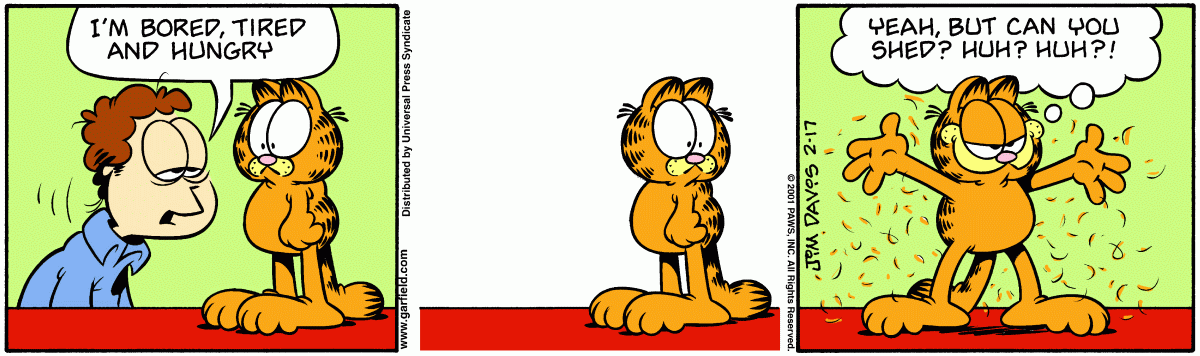 Garfield, February 17, 2001