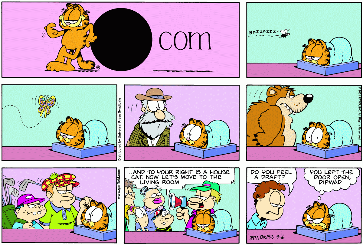 Garfield, May 6, 2001
