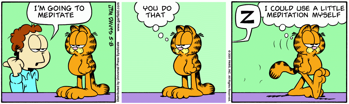 Garfield, May 8, 2001