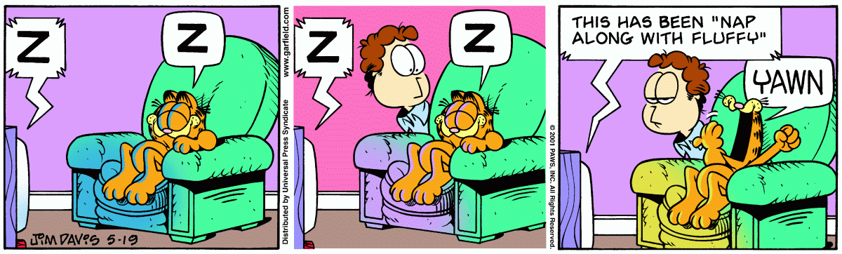 Garfield comic strip for Saturday, May 19, 2001