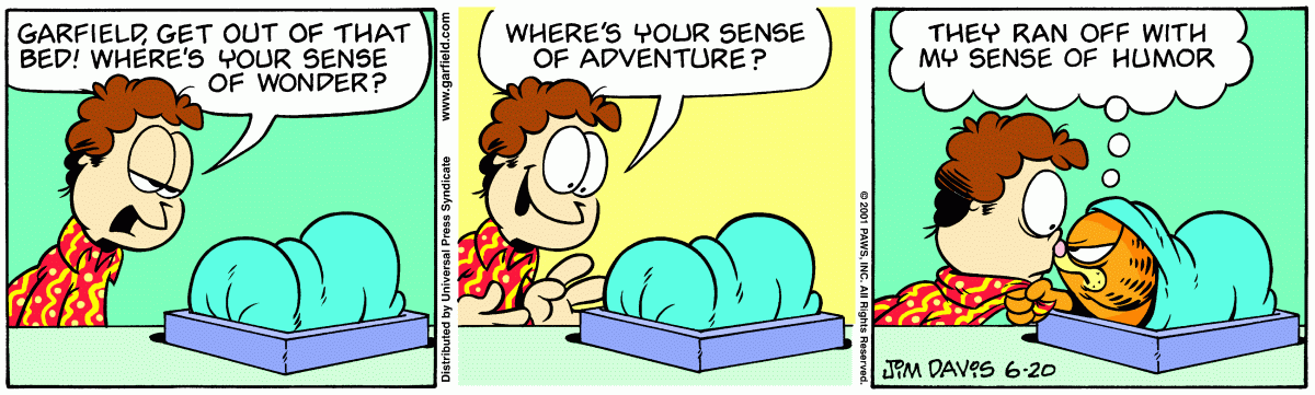 Garfield, June 20, 2001