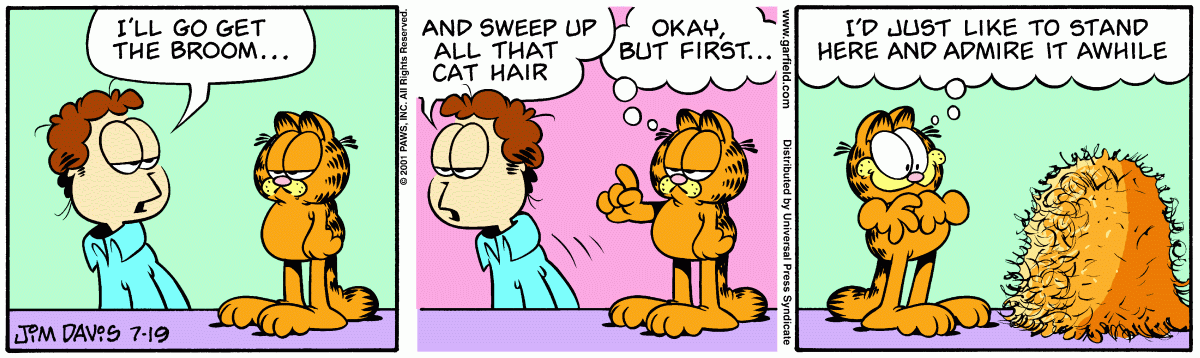 Garfield, July 19, 2001