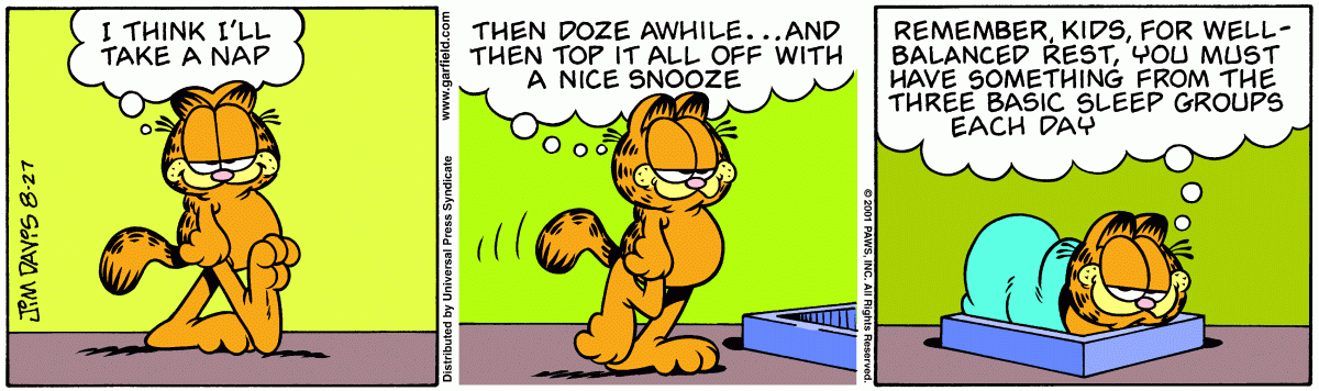 Garfield, August 27, 2001