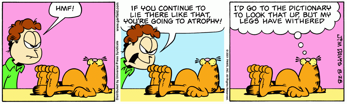 Garfield, August 28, 2001