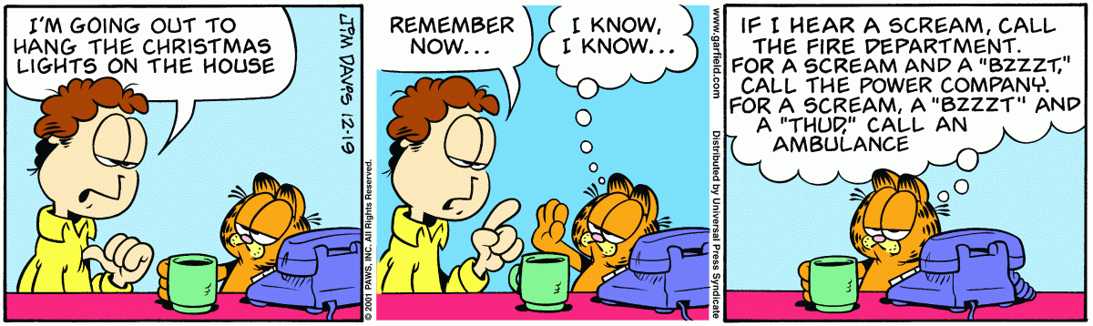 Garfield, December 19, 2001