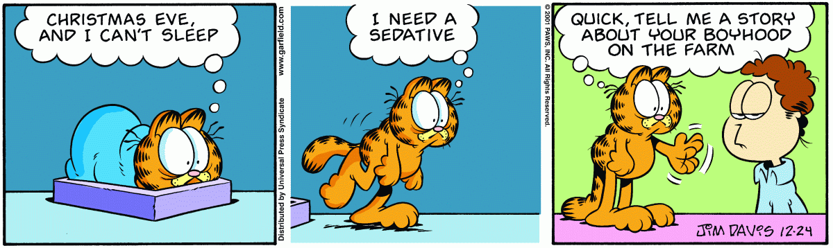 Garfield, December 24, 2001