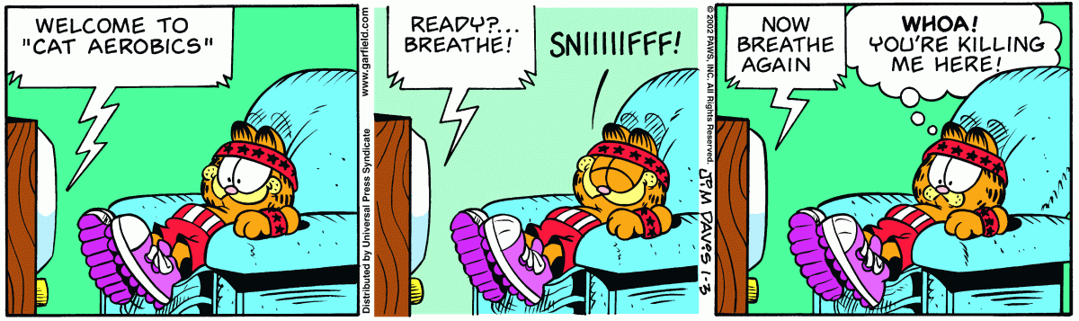 Garfield, January 3, 2002