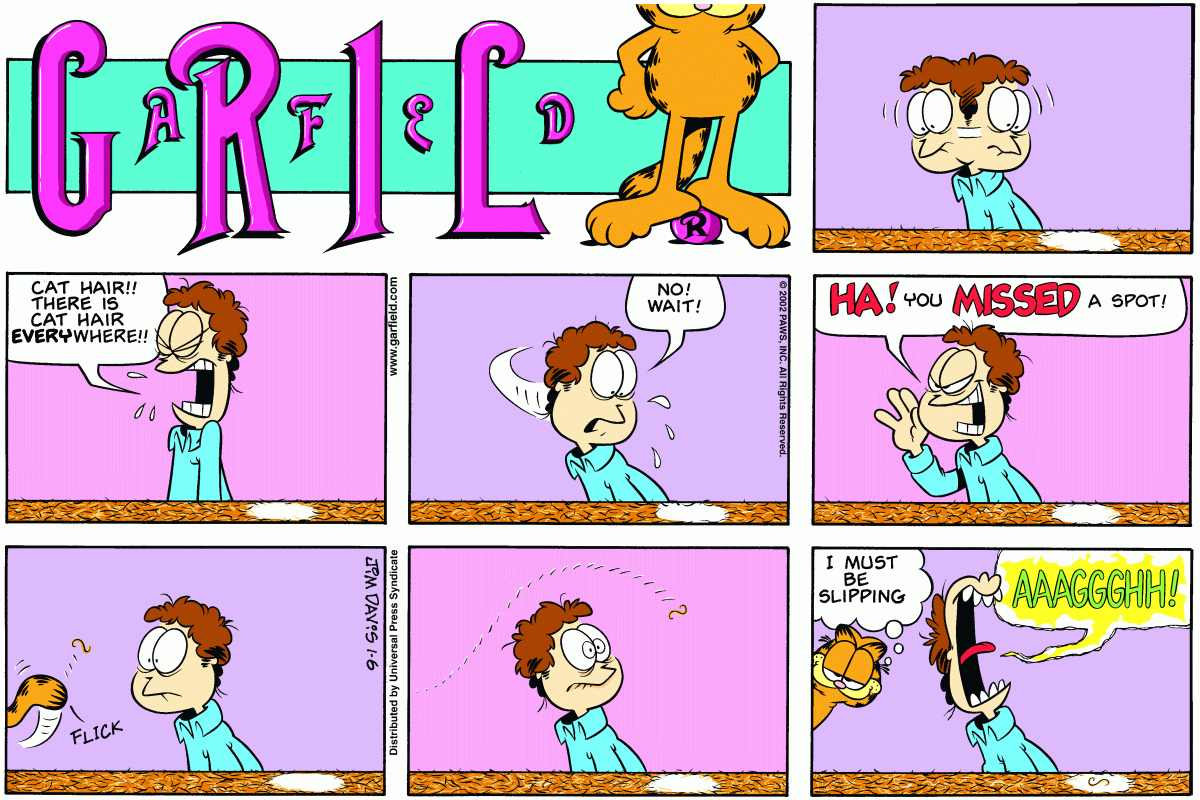 Garfield, January 6, 2002