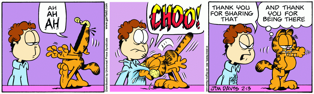 Garfield, February 13, 2002