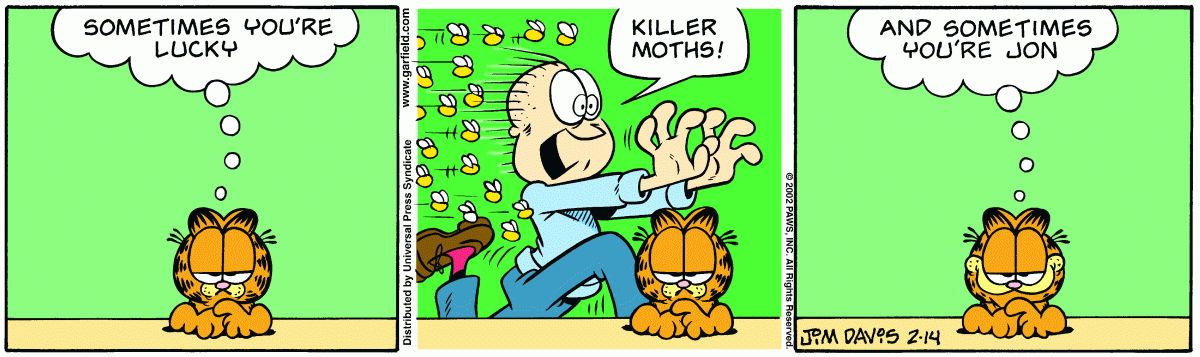 Garfield, February 14, 2002
