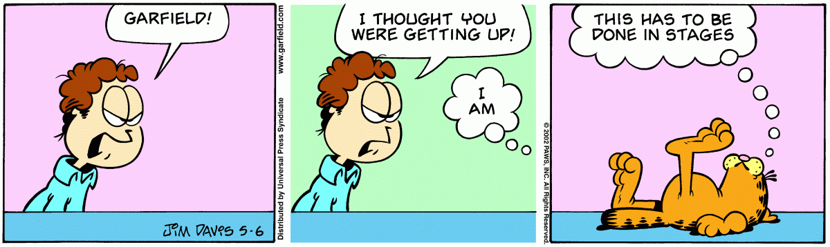 Garfield, May 6, 2002
