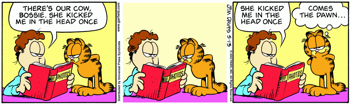Garfield comic strip for Monday, May 13, 2002