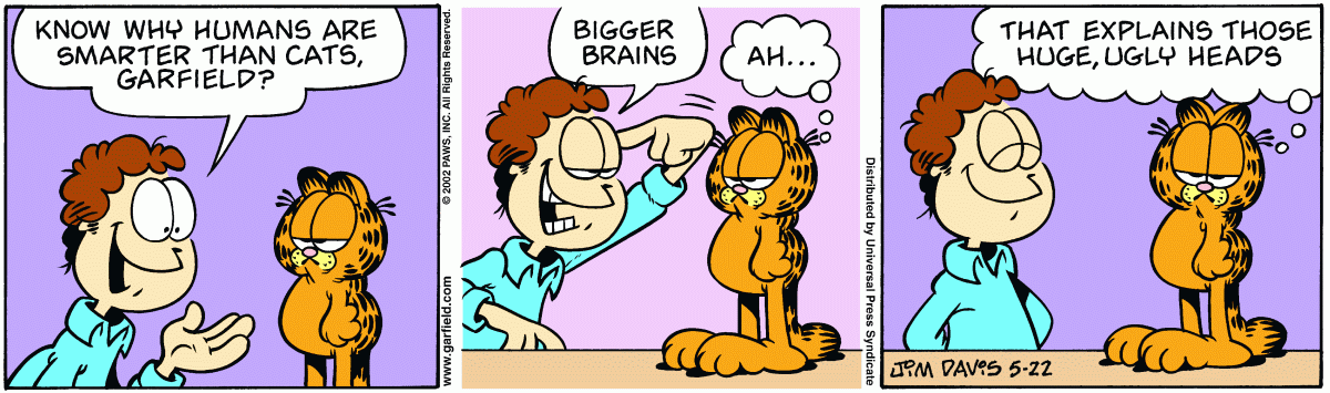 Garfield, May 22, 2002