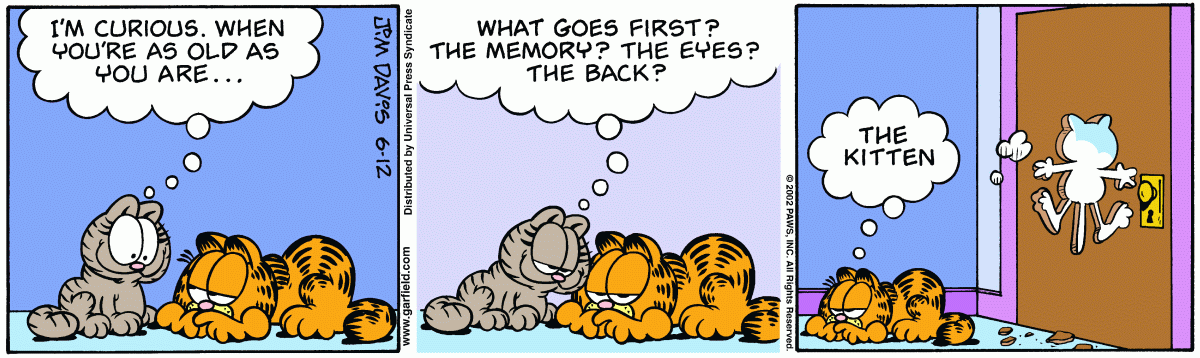 Garfield, June 12, 2002
