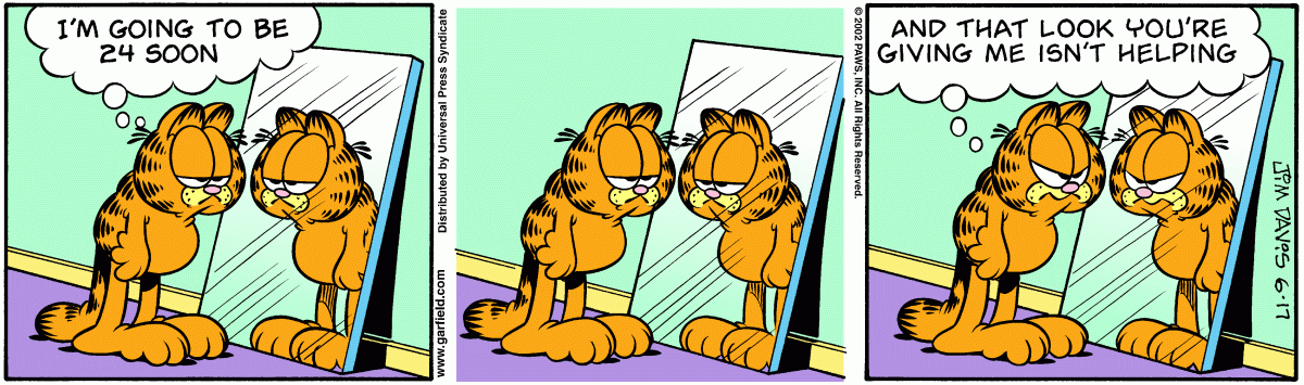 Garfield, June 17, 2002