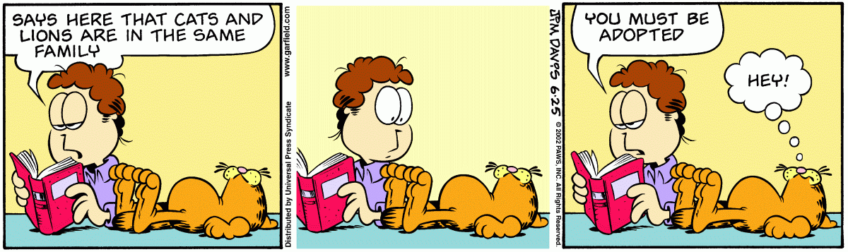 Garfield, June 25, 2002