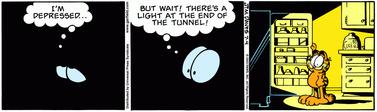 Garfield, July 4, 2002