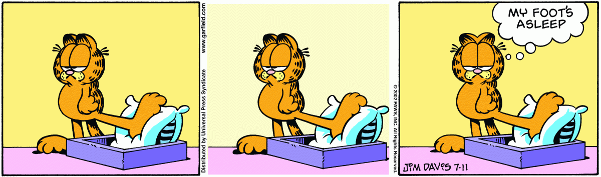 Garfield, July 11, 2002