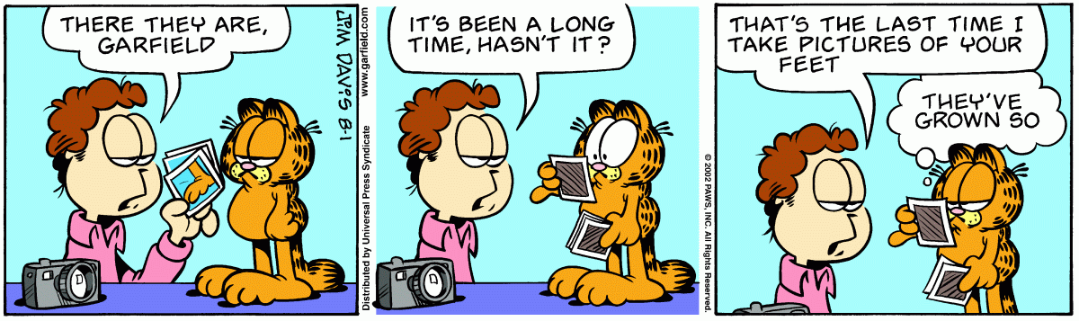Garfield, August 1, 2002