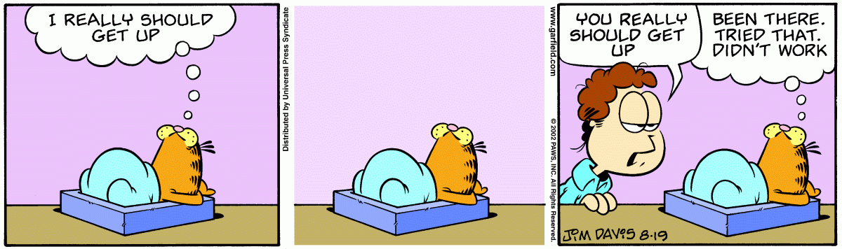 Garfield, August 19, 2002
