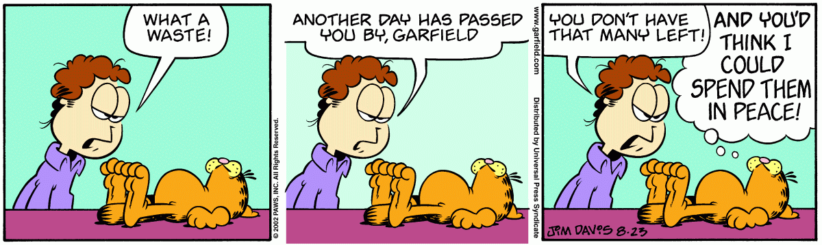 Garfield, August 23, 2002