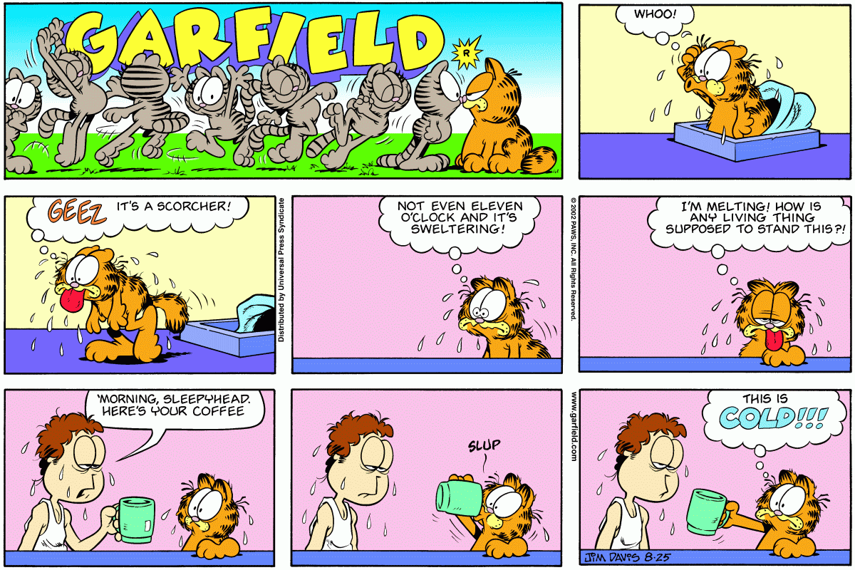 Garfield, August 25, 2002