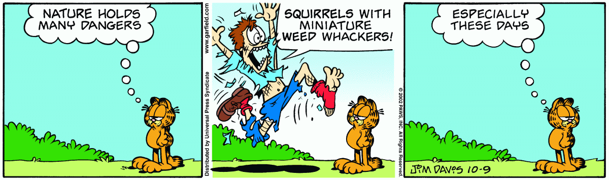 Garfield comic strip for Wednesday, October 9, 2002