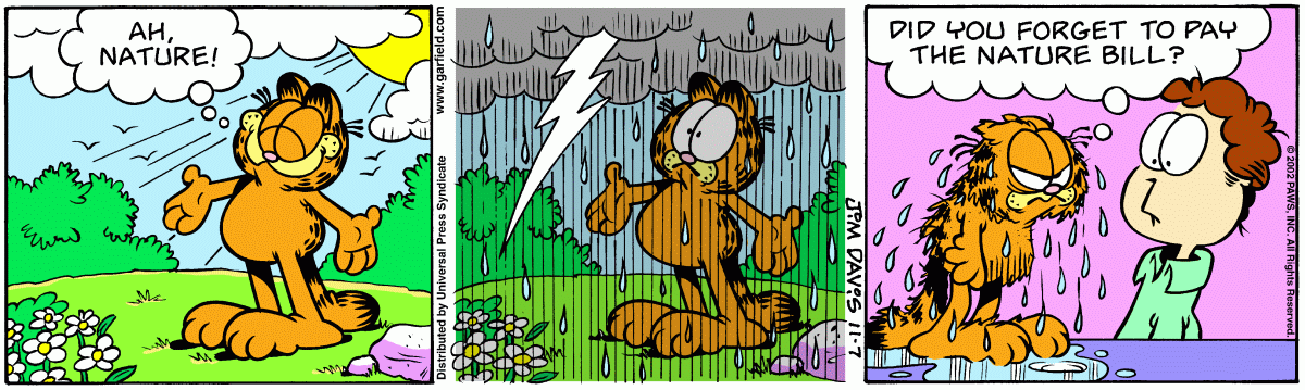 Garfield, November 7, 2002