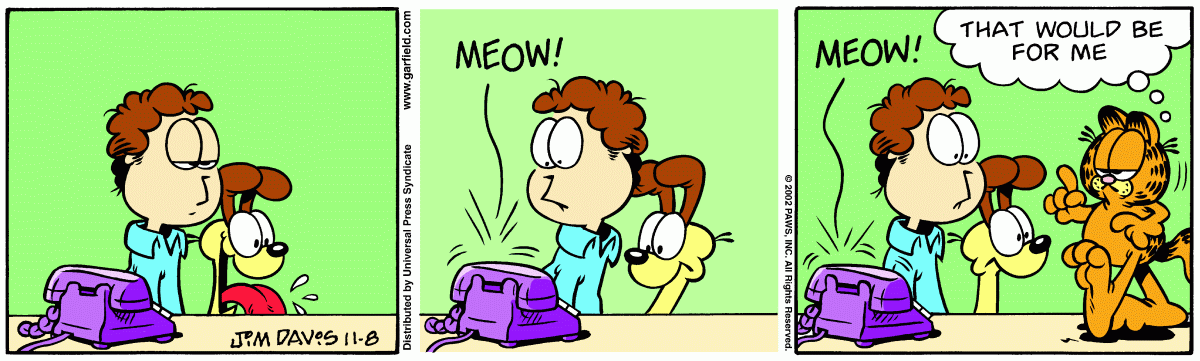 Garfield, November 8, 2002