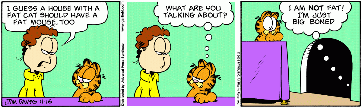 Garfield comic strip for Saturday, November 16, 2002