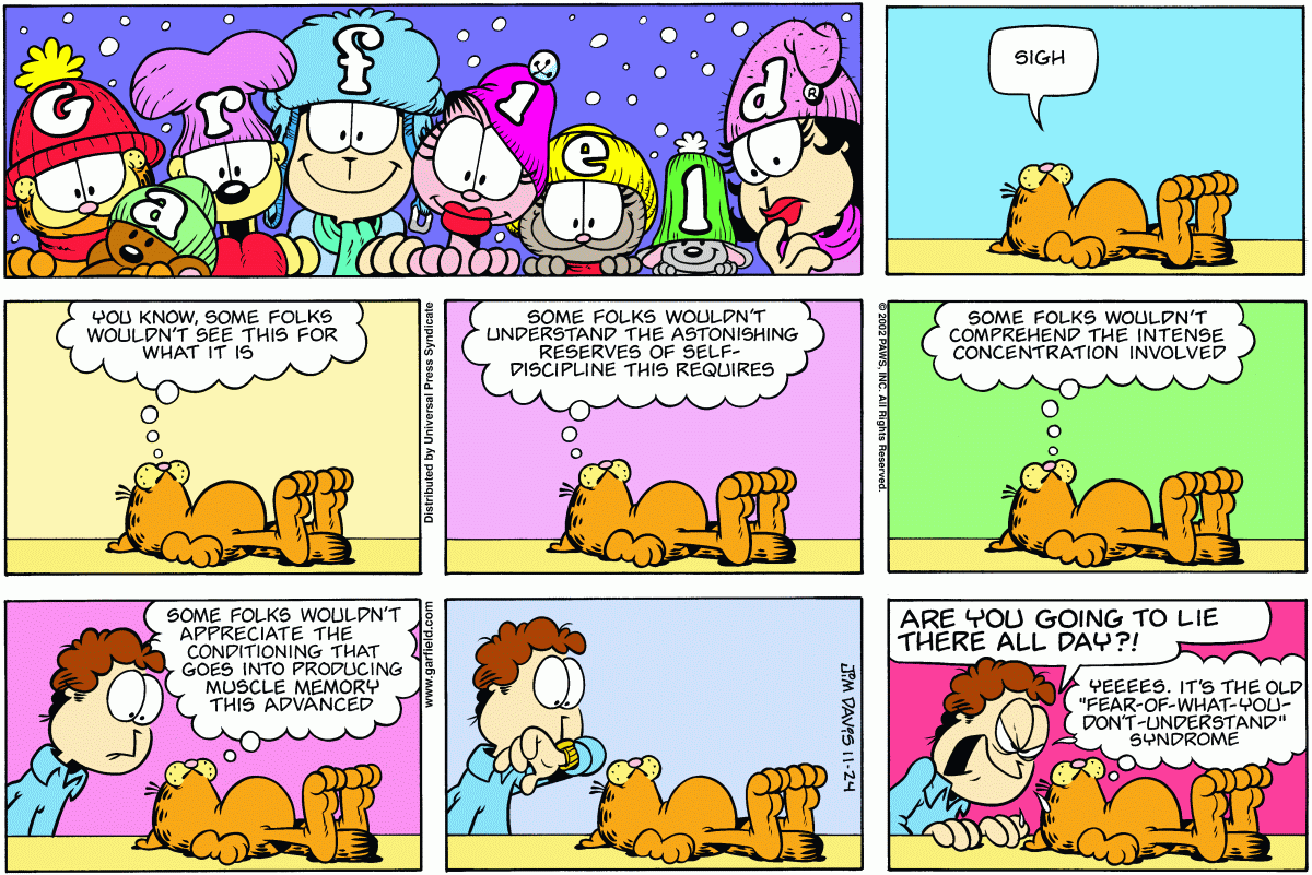 Garfield, November 24, 2002