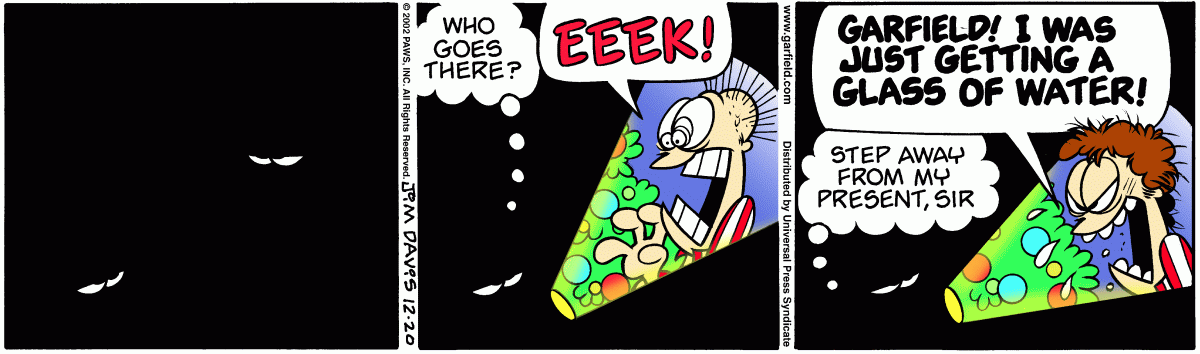 Garfield, December 20, 2002